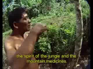 Shamans of the Amazon